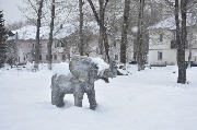 _DSC0821.JPG