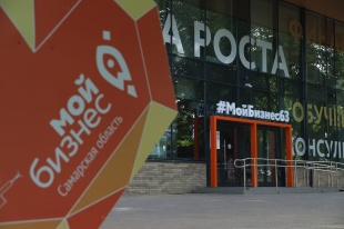 МСП в сфере научно-технической деятельности
