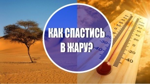 Как позаботиться о здоровье в летний период?