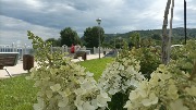 IMG_20220722_103638.jpg