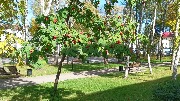 IMG_20221003_134316.jpg