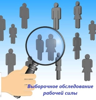 Выборочное обследование рабочей силы