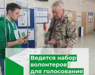 Ведется набор волонтеров для голосования
