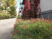 IMG_20231003_120942.jpg