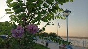 IMG_20230923_180547.jpg
