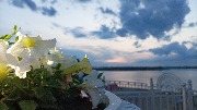 IMG_20230702_213100.jpg