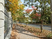 IMG_20230927_104626.jpg