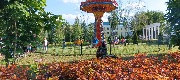 IMG_20220601_172610.jpg
