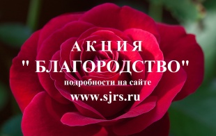 В Самарской губернии стартовала XXVI областная общественная Акция «Благородство». 
