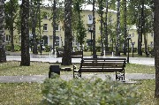 _DSC0701.JPG