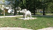 IMG_20230919_122822.jpg