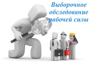 Федеральное статистическое наблюдение
