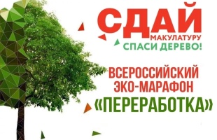 Сдай макулатуру – спаси дерево