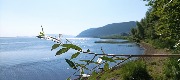 IMG_20220728_091847.jpg
