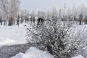 _DSC0817 (2).JPG