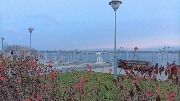 IMG_20231109_075946.jpg