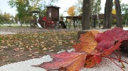 IMG_20230921_115214.jpg