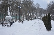 _DSC0826.JPG