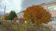 IMG_20231023_132433.jpg